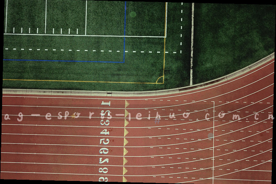 战队选手击杀统计与经济指标并排展示的数据面板